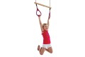 Trapeze Bar With Triangle Grips and Ropes RED